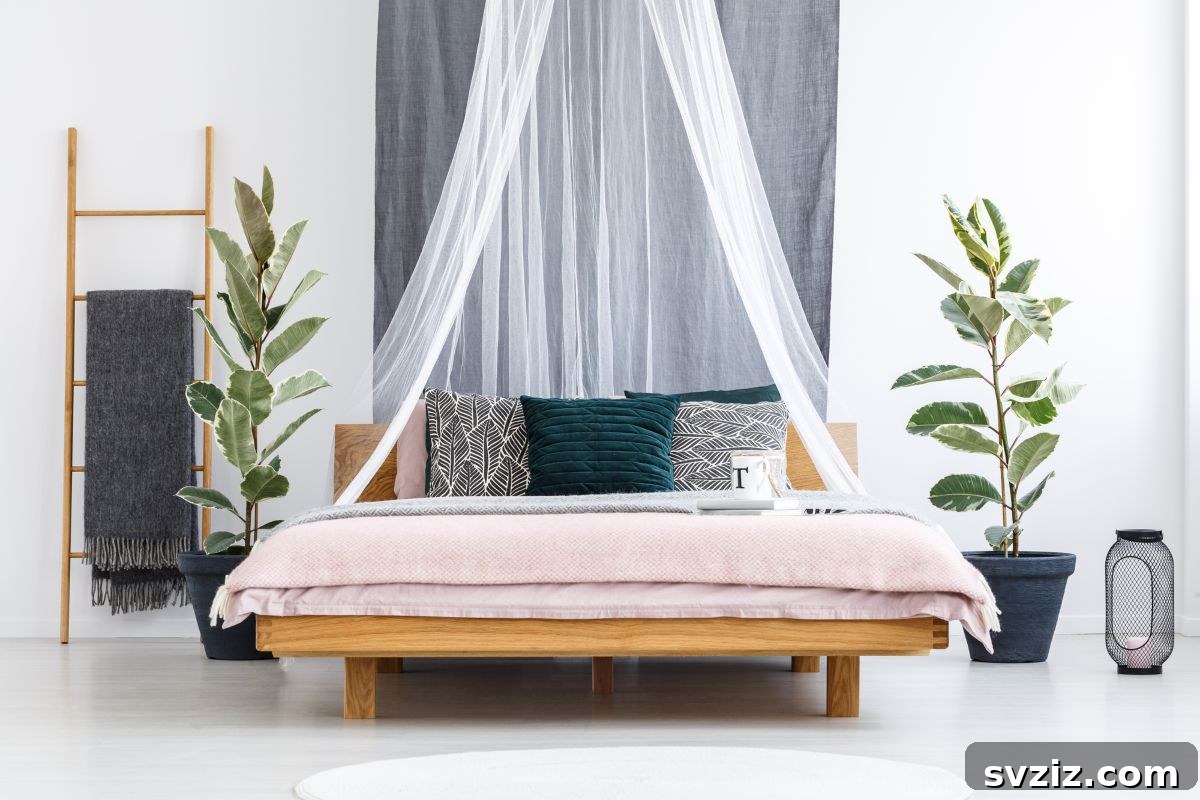 Bed Canopy