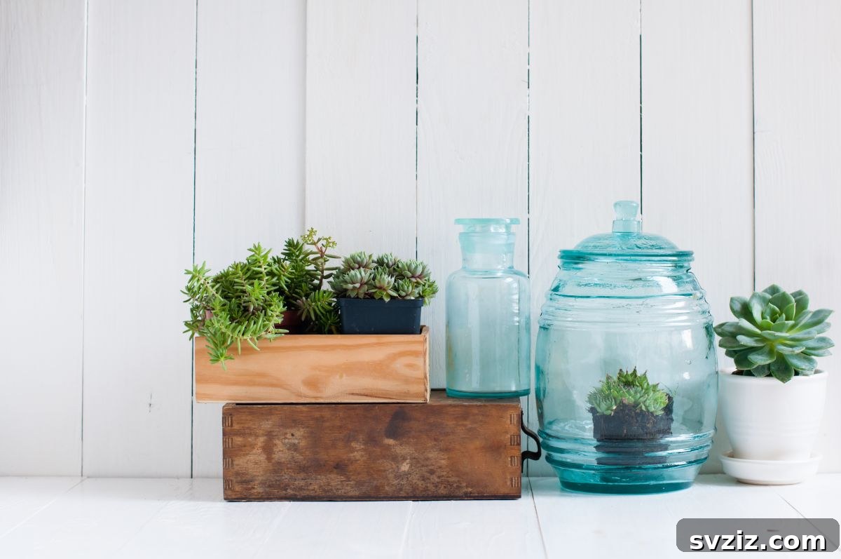 Kitchen Table Refresh: Fresh Decor Ideas for Every Gathering 27 Succulents