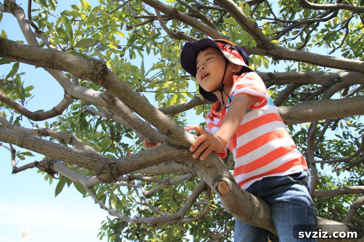 Kids Enjoying Climbing a Tree Outdoors