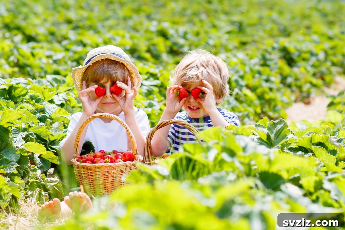 Children Picking Fresh Berries in an Orchard