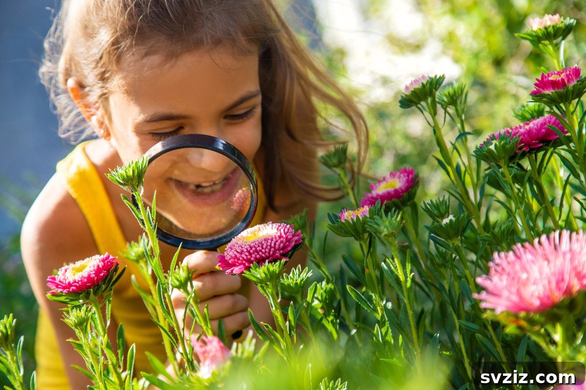 Child Identifying Different Flowers Outdoors