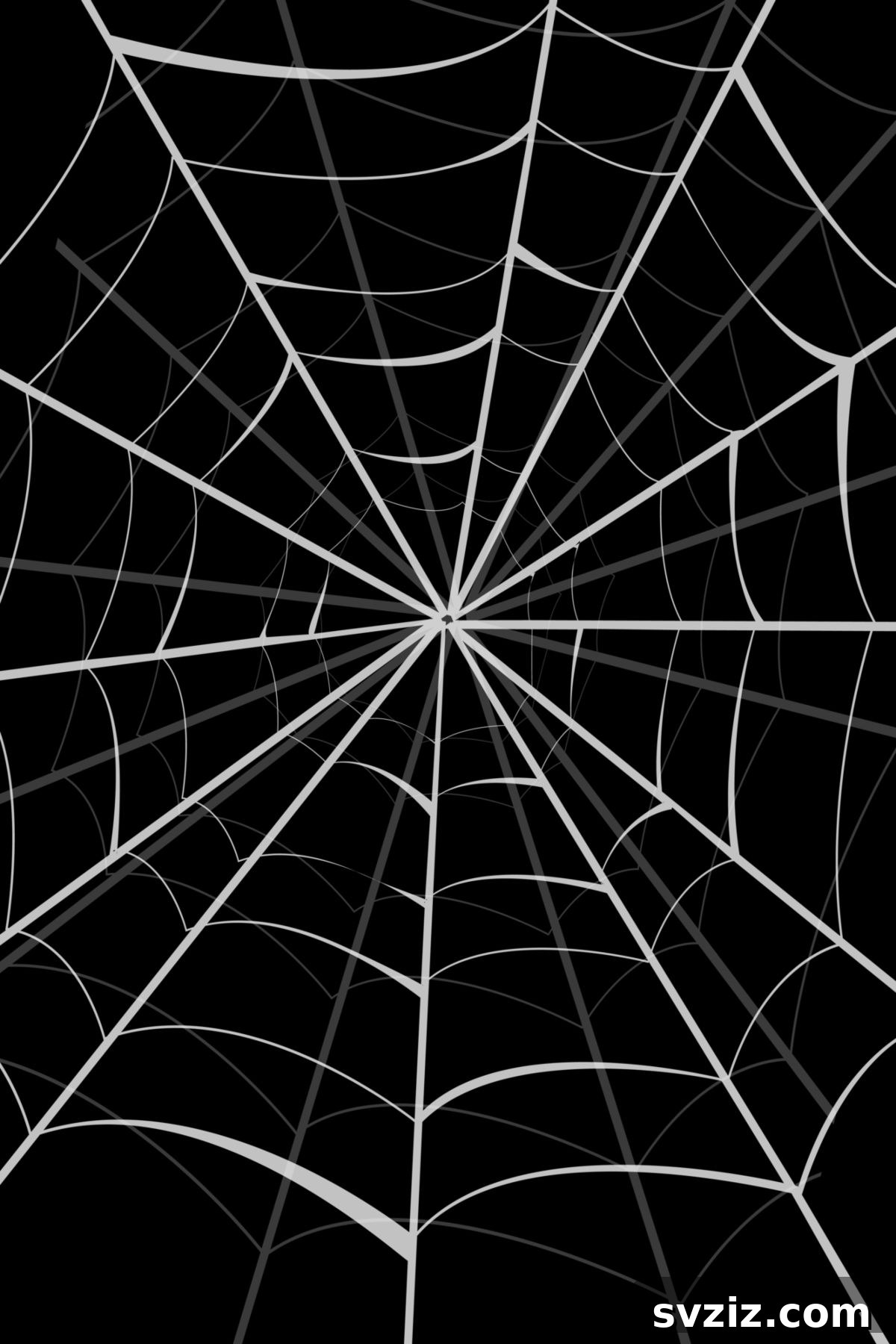 Spider WebMaster team building game