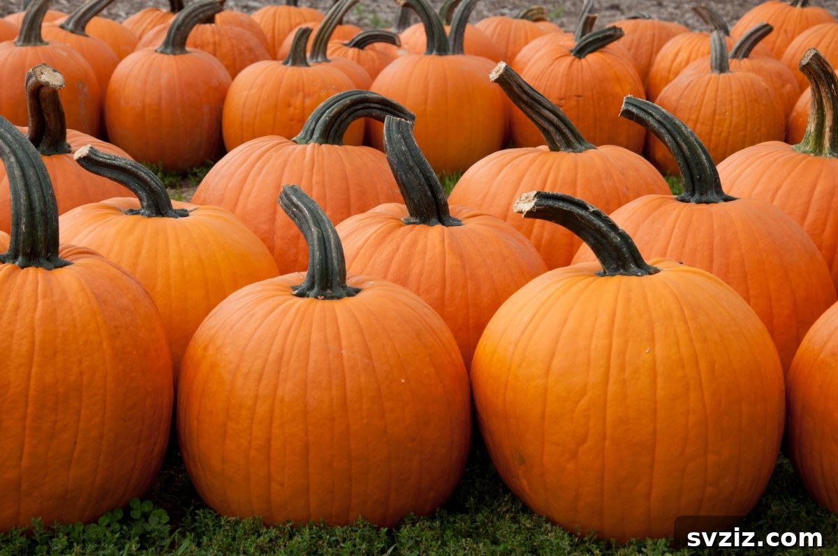 Pumpkin Bowling for classroom Halloween party