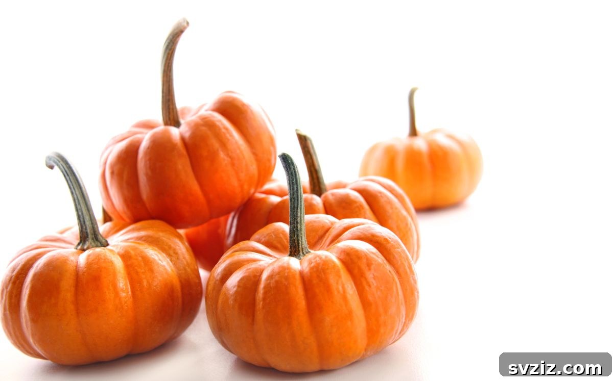 Roll a Pumpkin Game for Halloween
