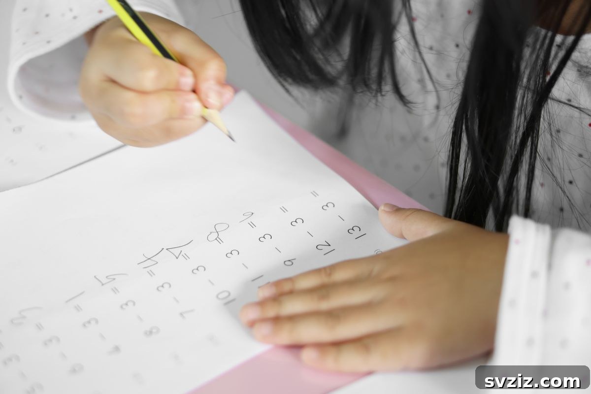 Spider Math Equations for learning