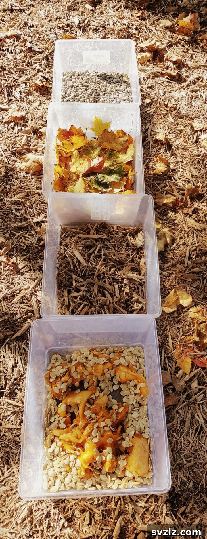 31 Engaging Large Group Activities for Preschoolers 26 Sensory Walk Outdoor Activity