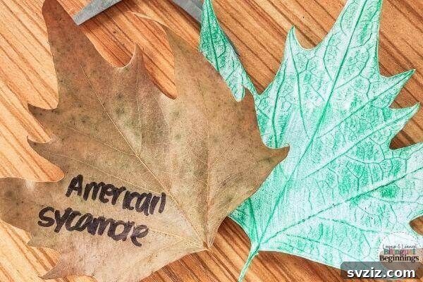 Easy Fall Crafts for Preschoolers: 41 Fun Ideas 41 Leaf Imprint