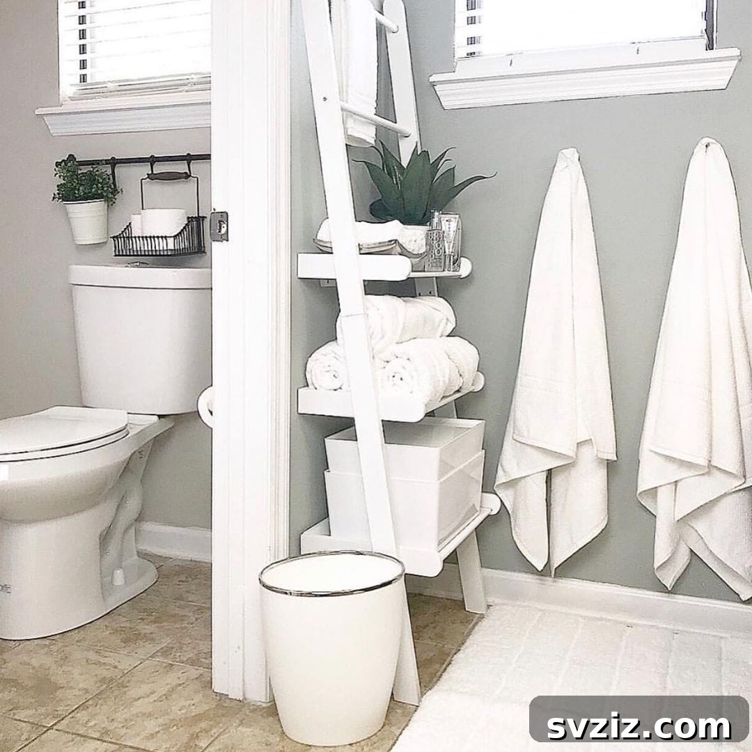 DIY Ladder Shelf for Bathroom Storage