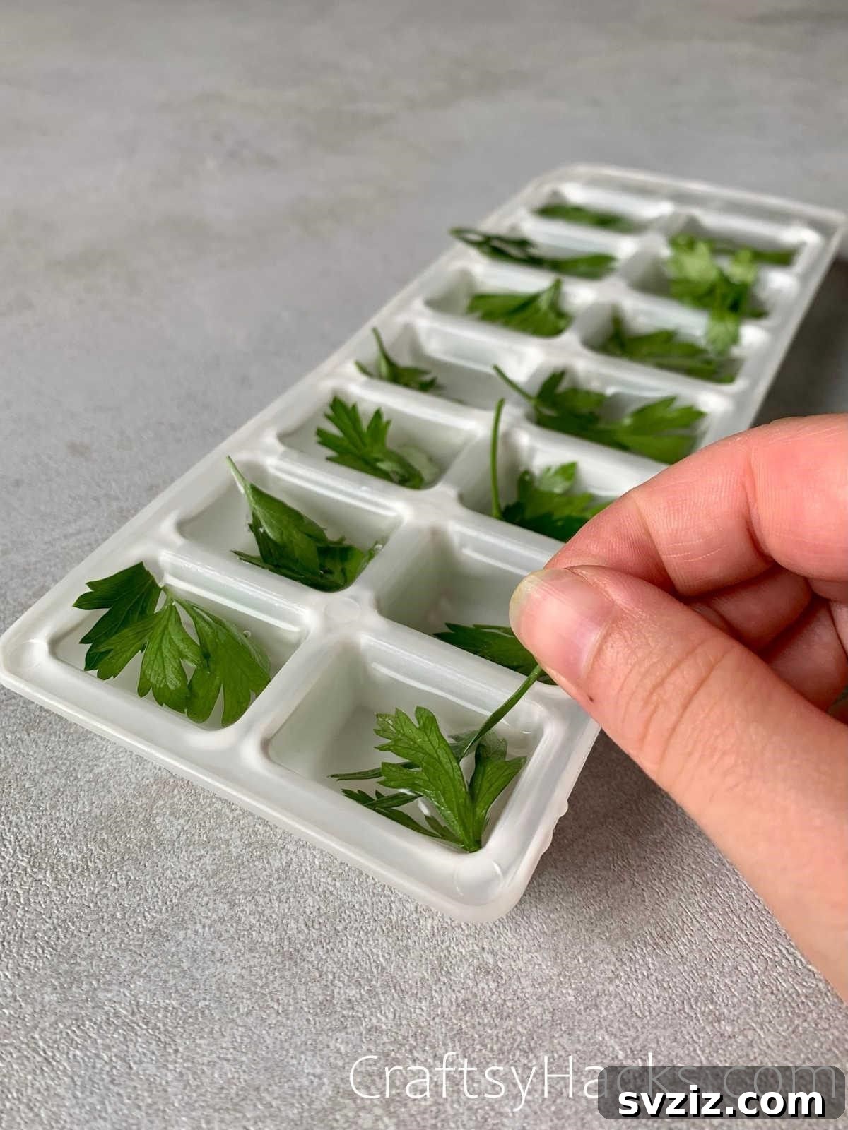 21 Must-Know Kitchen Hacks That Will Revolutionize Your Meals 14 freeze herbs for future cooking
