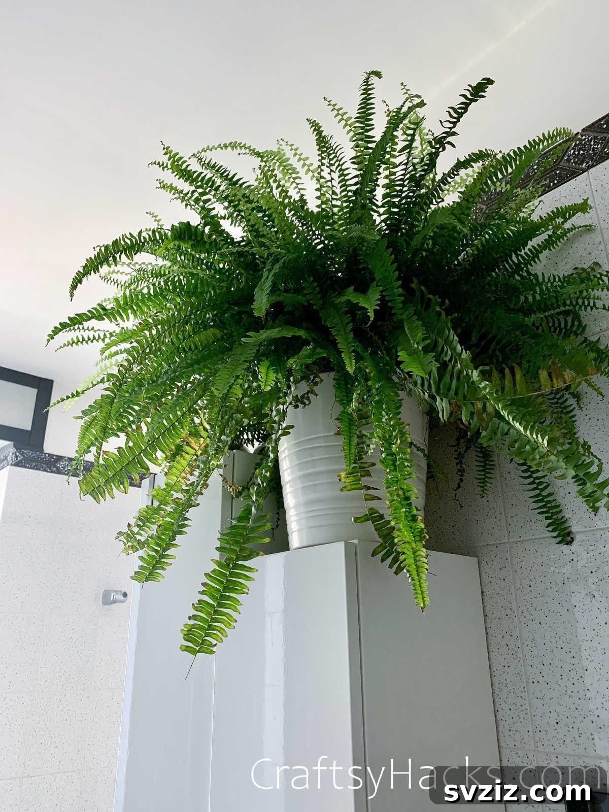 Banish Bathroom Odors for Good 10 add plants