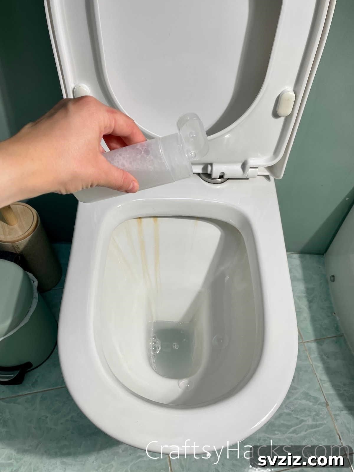 clean your toilet