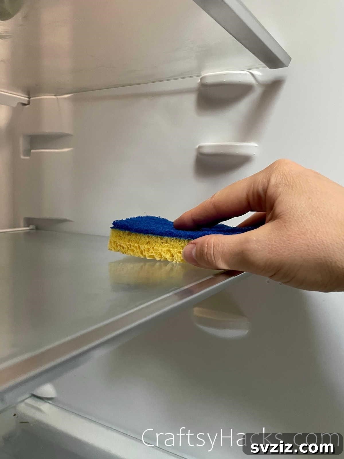 disinfect fridge