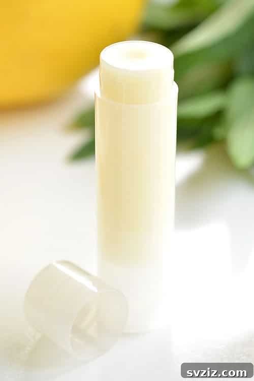 40 Chic & Simple DIYs for Teen Girls 17 Homemade Lip Balm