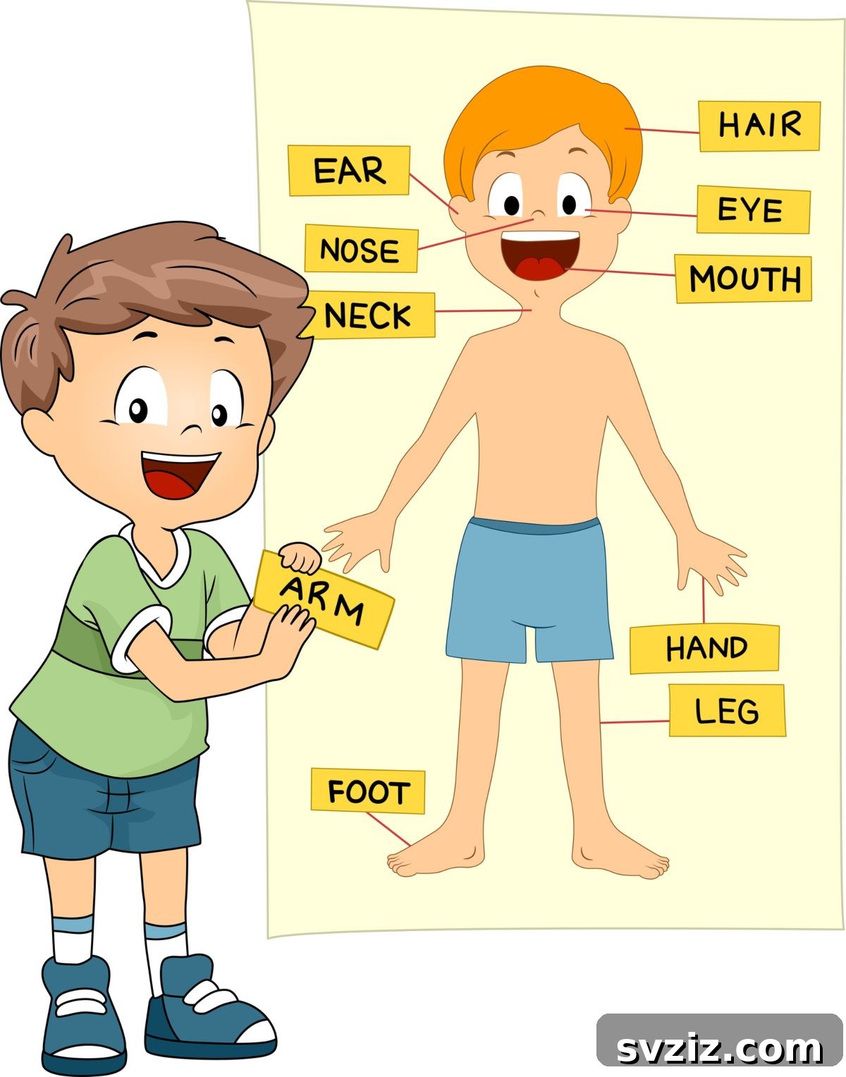27 Engaging All About Me Activities for Preschool Lesson Plans 18 body parts matching activity