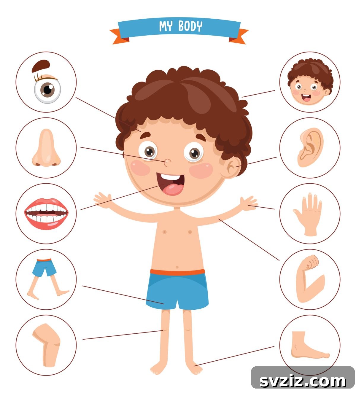 27 Engaging All About Me Activities for Preschool Lesson Plans 26 body parts activity