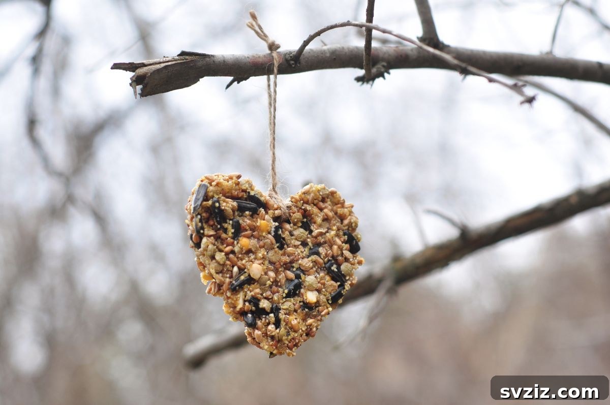 Little Explorers: 41 Outdoor Play Ideas for Preschoolers 3 DIY toilet paper roll bird feeder hanging from a branch