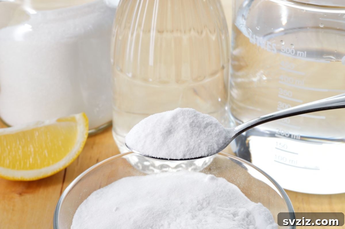 baking soda vinegar art