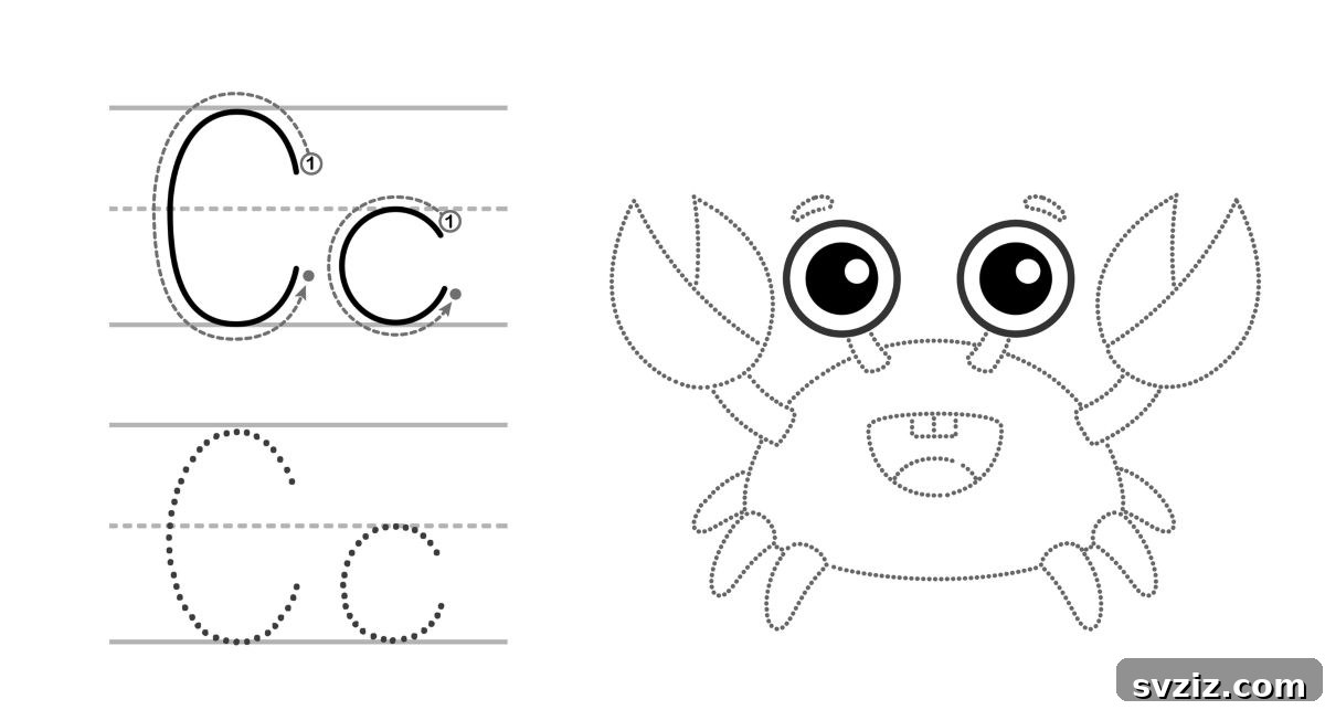 Spark Their Curiosity: 41 Engaging Activities for 3-Year-Olds 28 Letter C Craft for alphabet learning