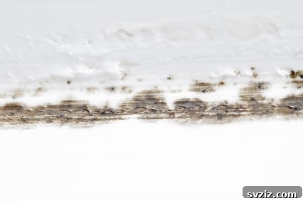 Effective Mold Removal with Borax and Vinegar