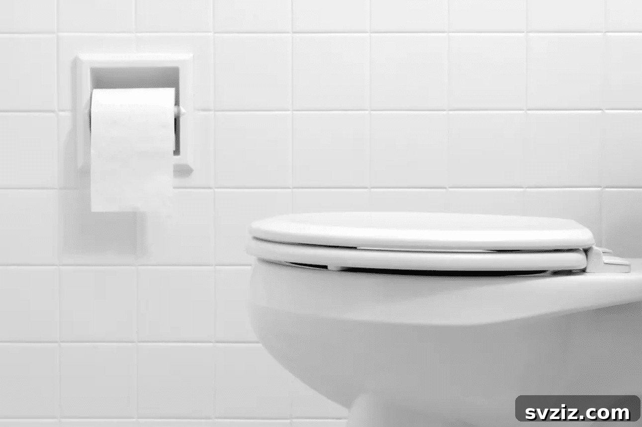 Toilet Cleaning with Baking Soda and Vinegar
