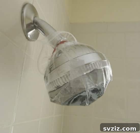 Cleaning a Showerhead with Vinegar