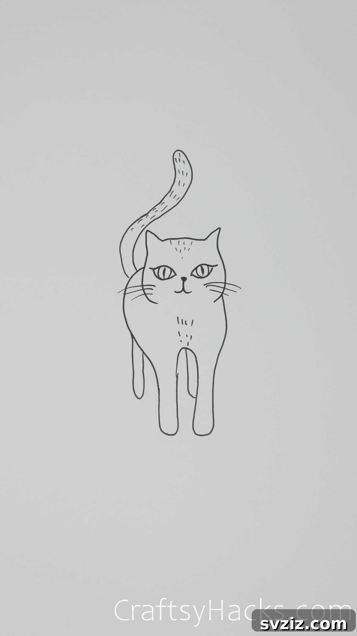 Curious cat drawing, a cat looking intently with a questioning expression