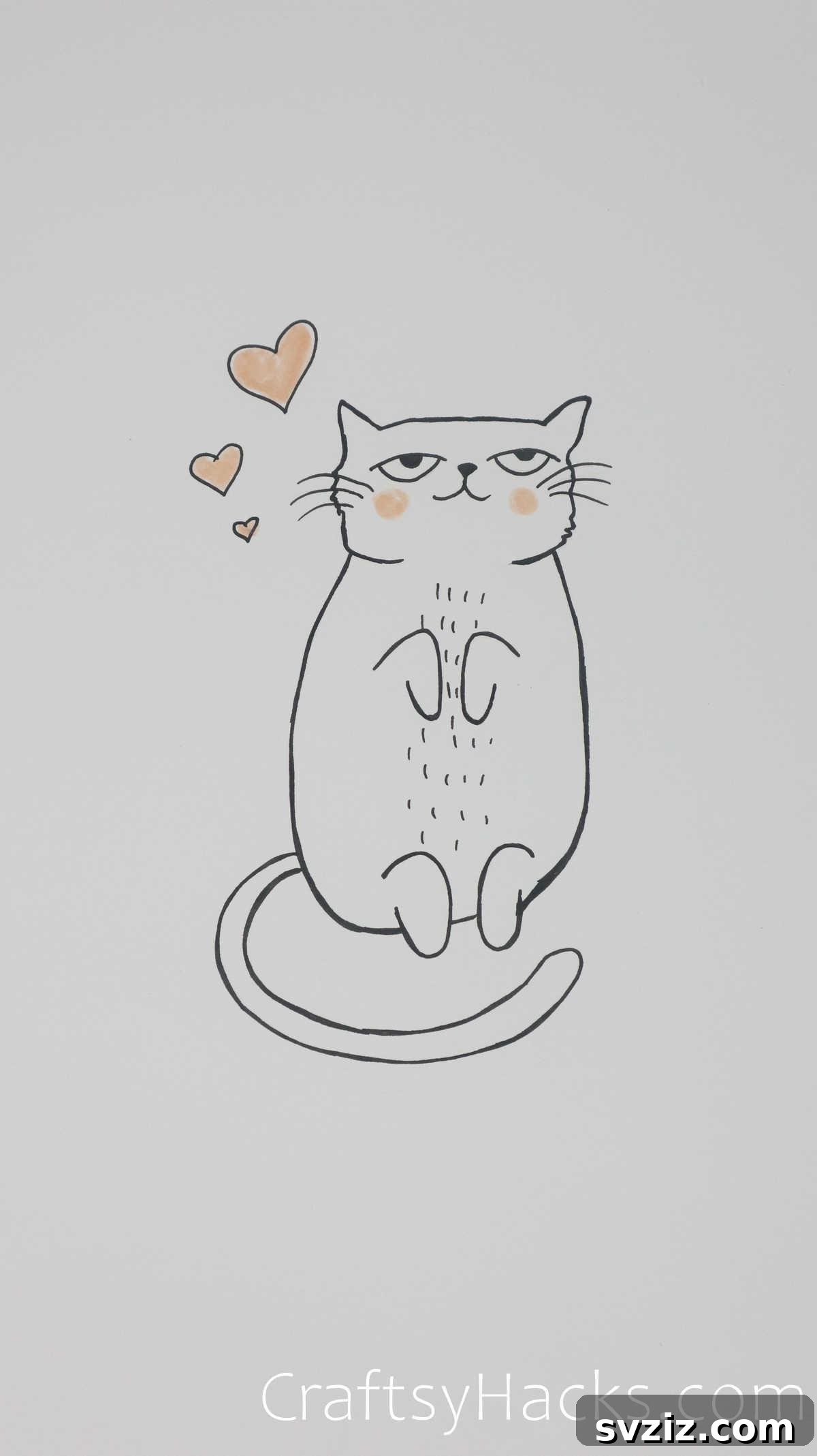 Loved cat exposing its belly, a sign of comfort and trust