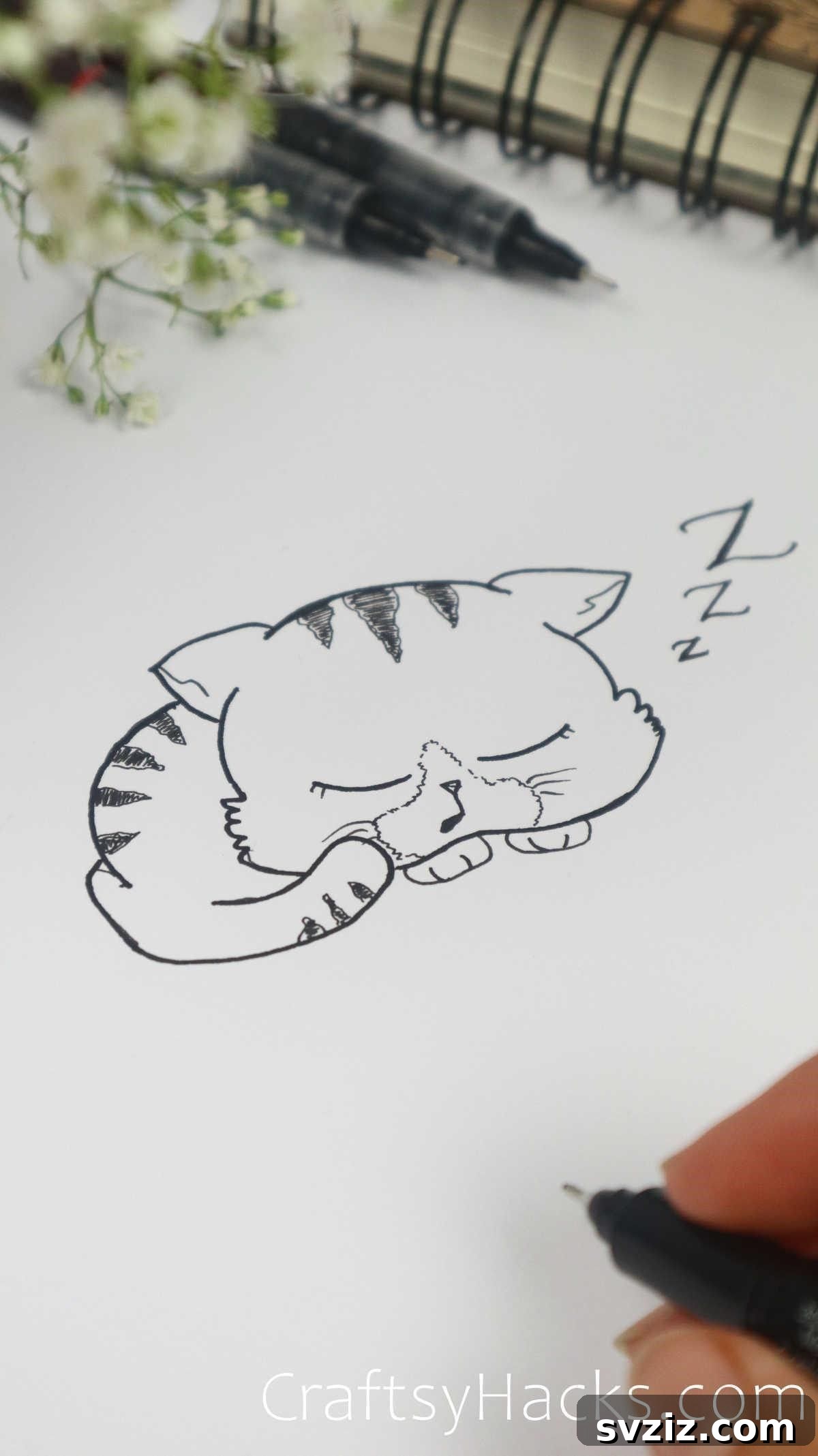 Sleeping cat drawing, a simple sketch idea for beginners