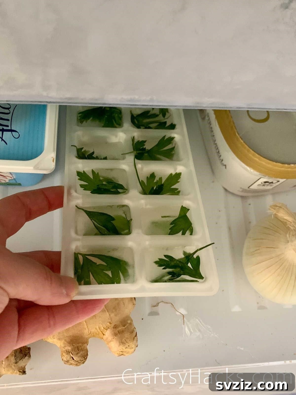 20 Smart Ways to Maximize Food Freshness 11 freeze herbs