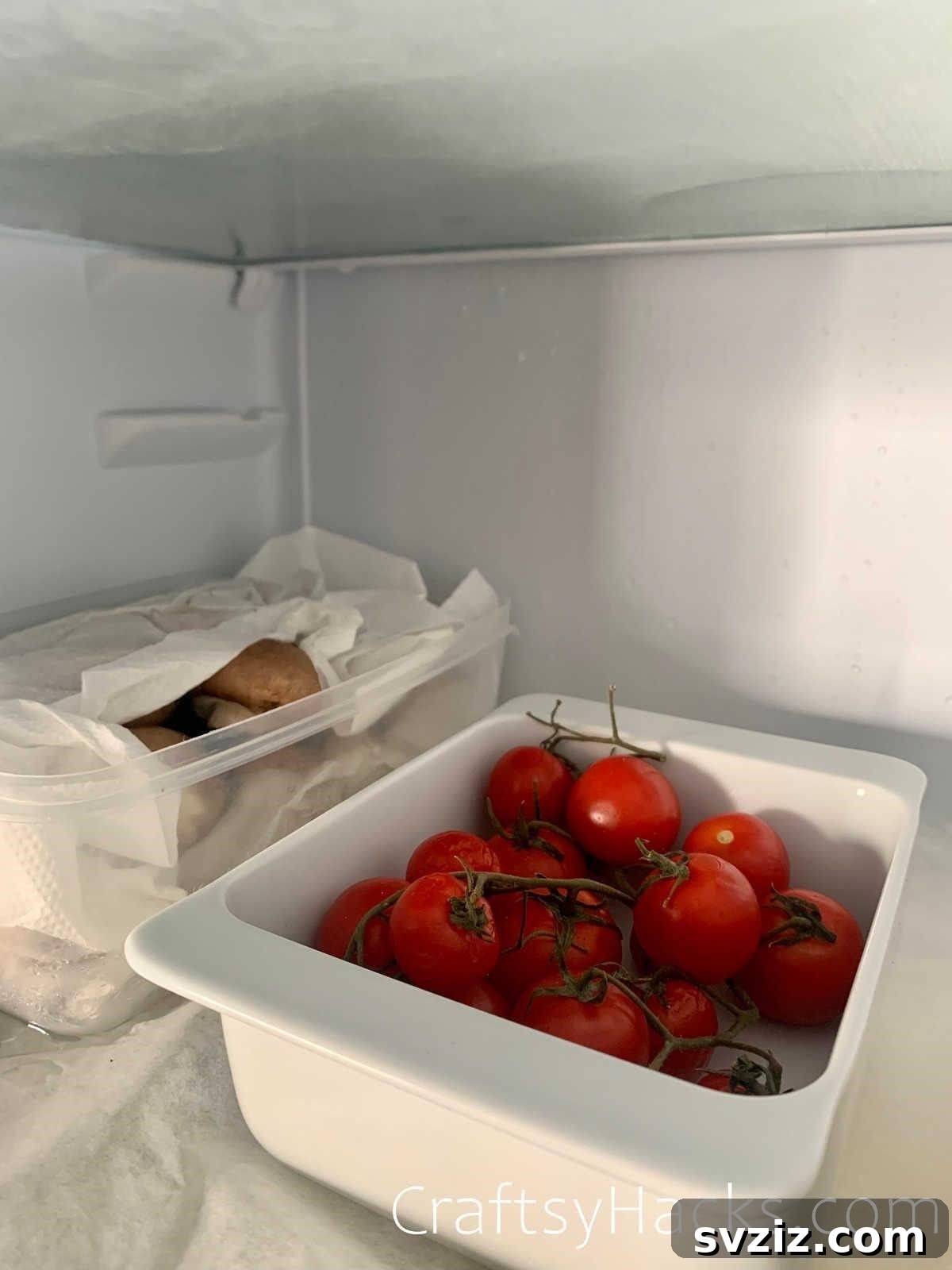 20 Smart Ways to Maximize Food Freshness 13 keep tomatoes in fridge