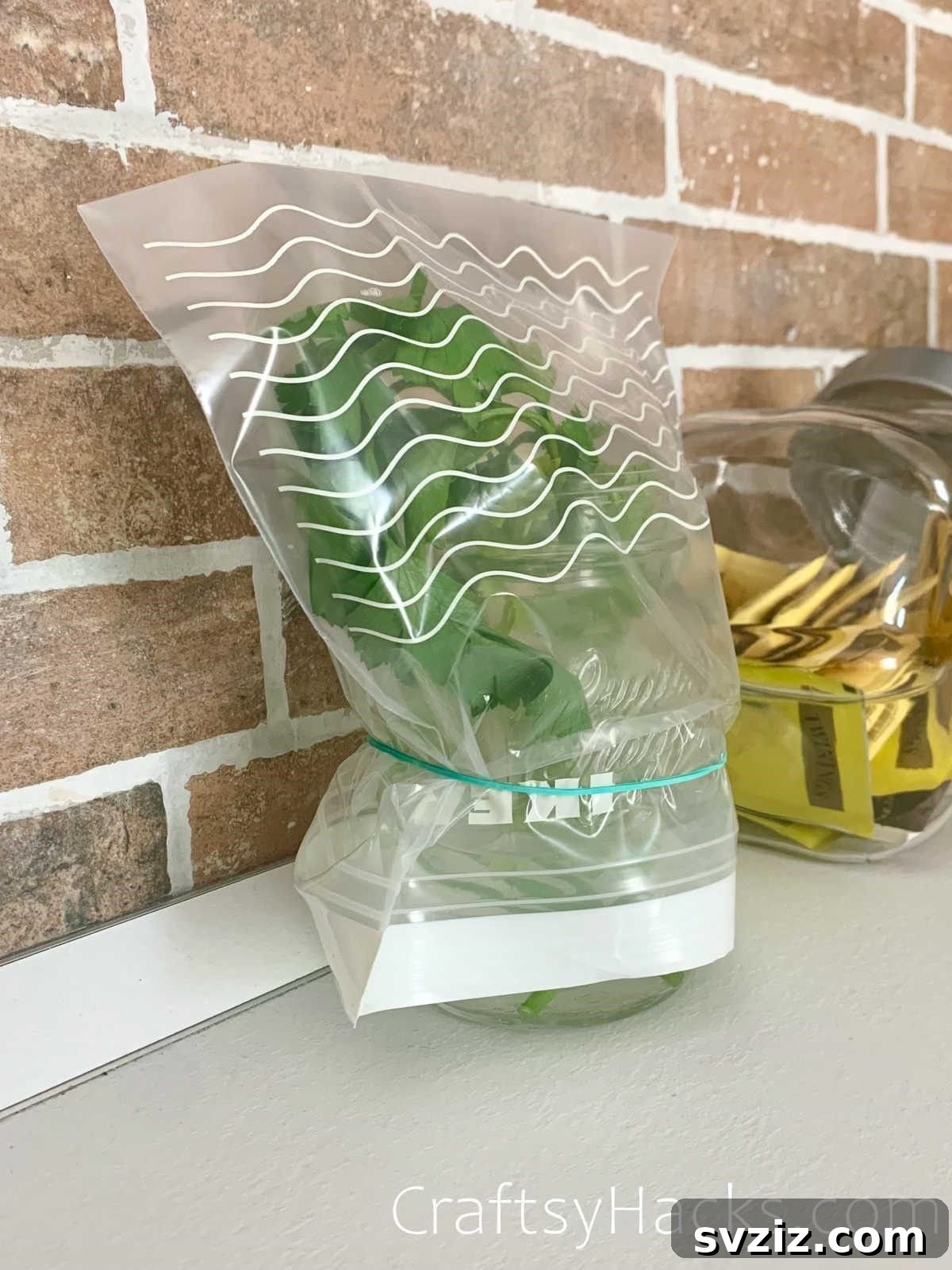 20 Smart Ways to Maximize Food Freshness 6 store herbs in covered jars in water
