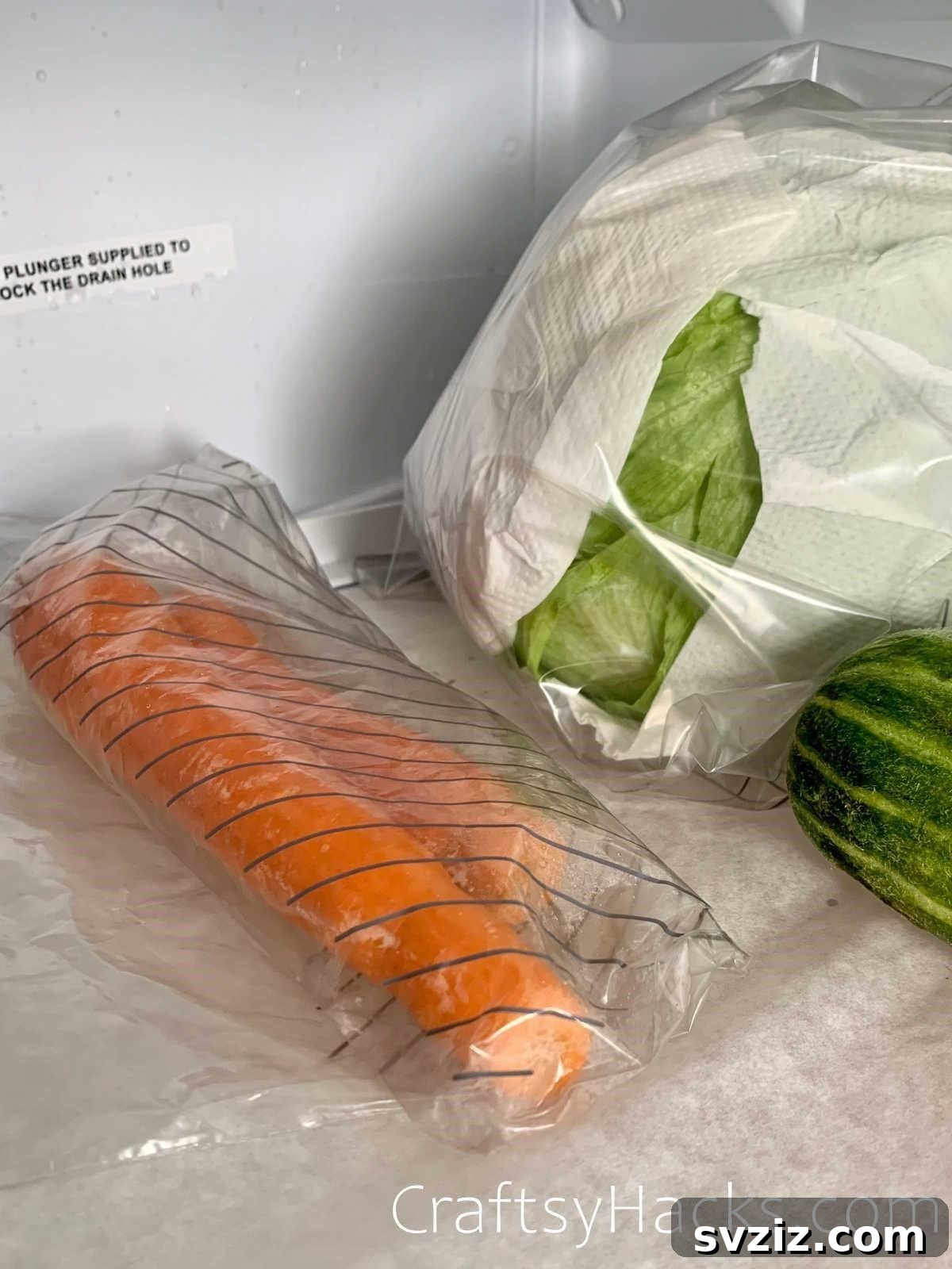 20 Smart Ways to Maximize Food Freshness 7 wrap lettuce in paper towel