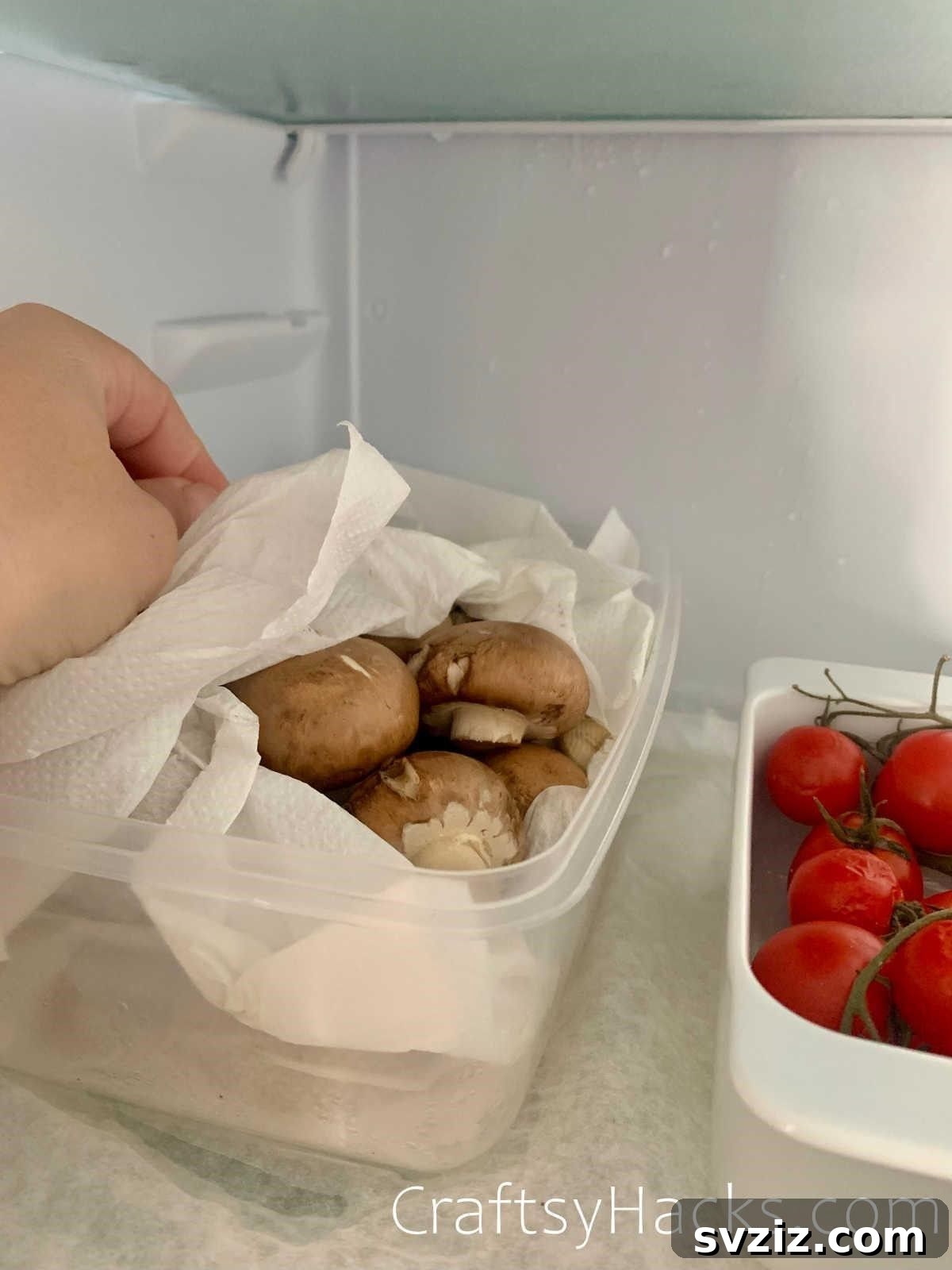20 Smart Ways to Maximize Food Freshness 9 pat dry vegetables after washing