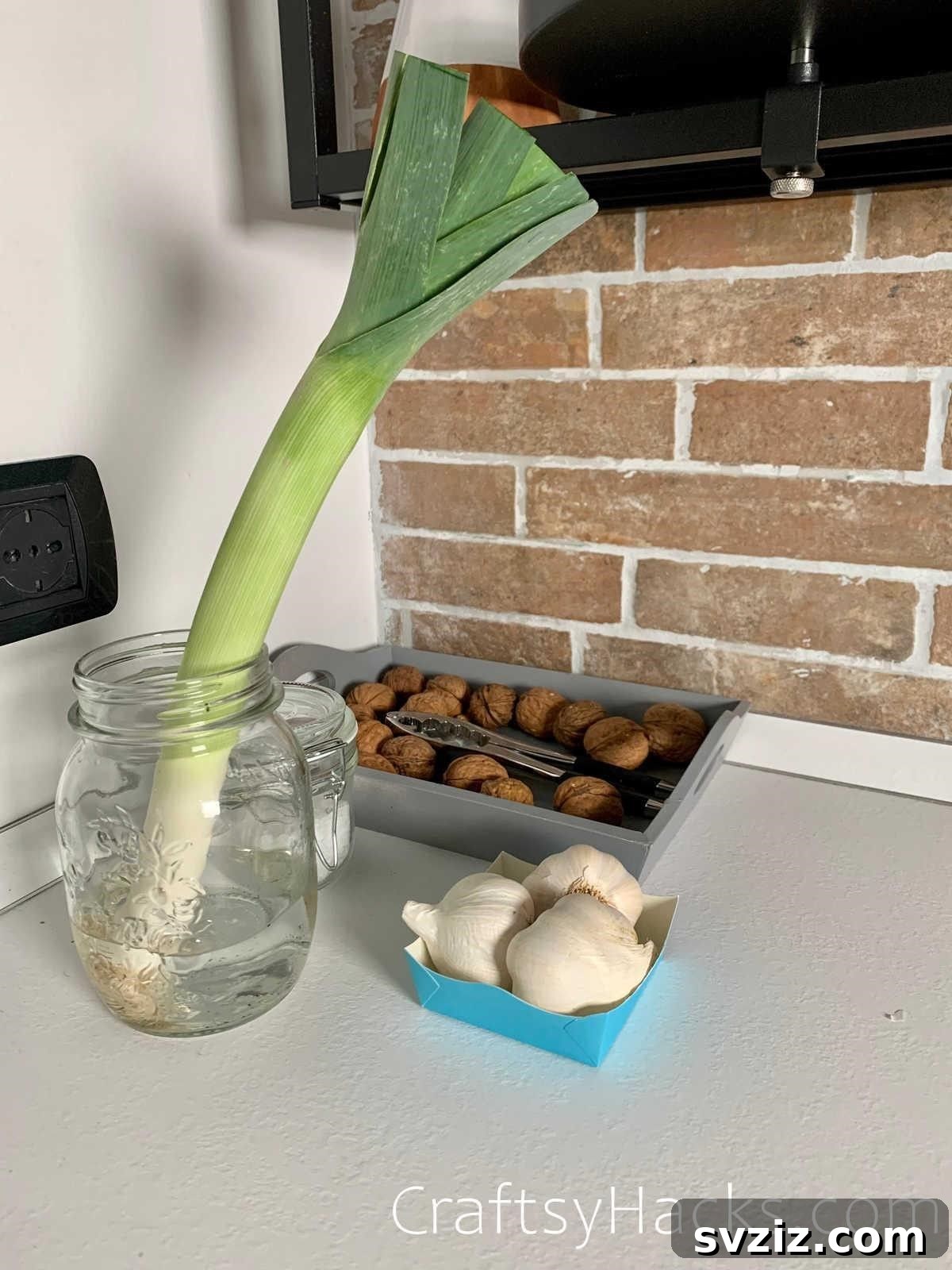 20 Smart Ways to Maximize Food Freshness 10 store leeks in jars
