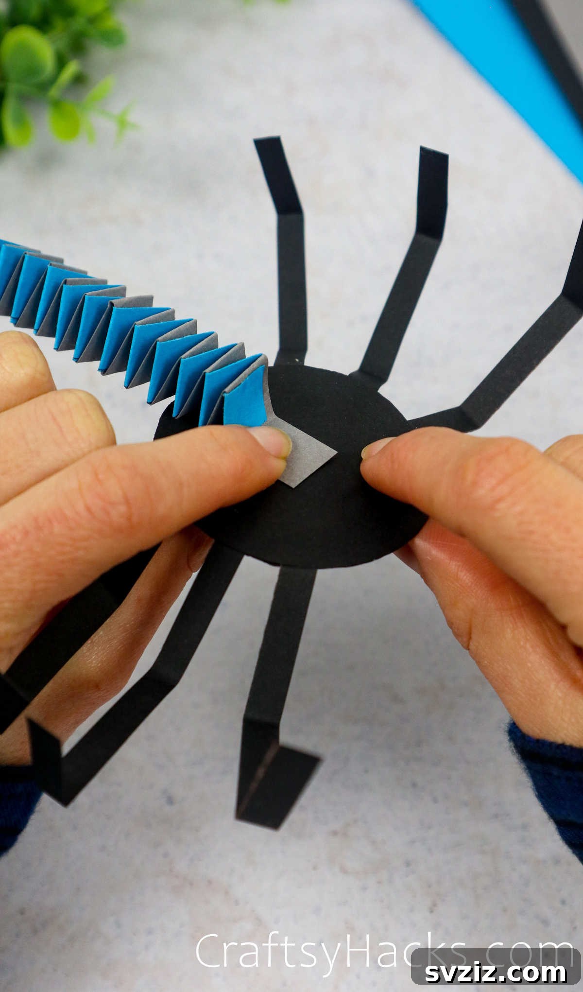 Spin a Web of Fun: Easy Paper Spider Craft 20 glue spring onto back of spider
