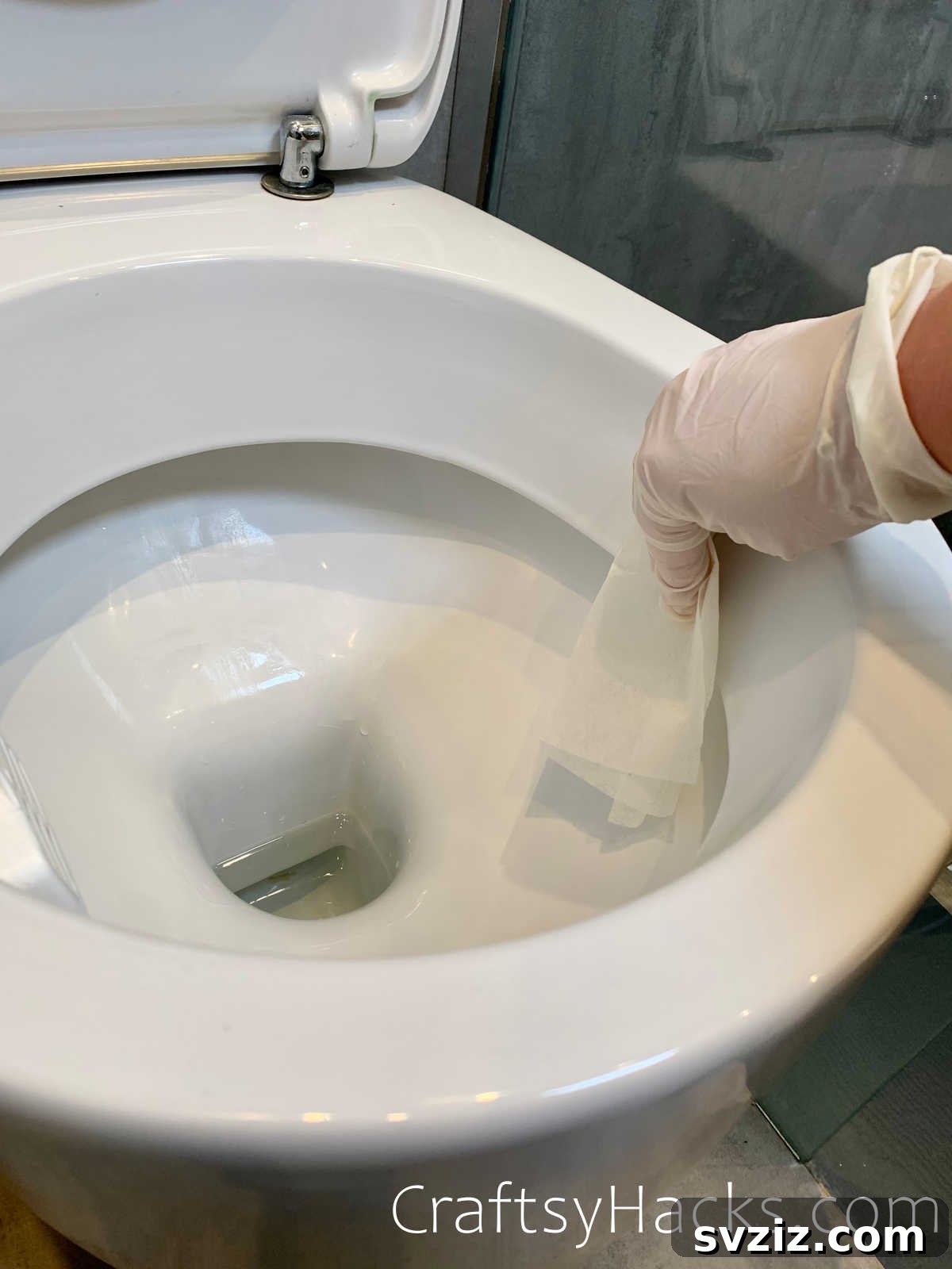get rid of toilet bowl rings