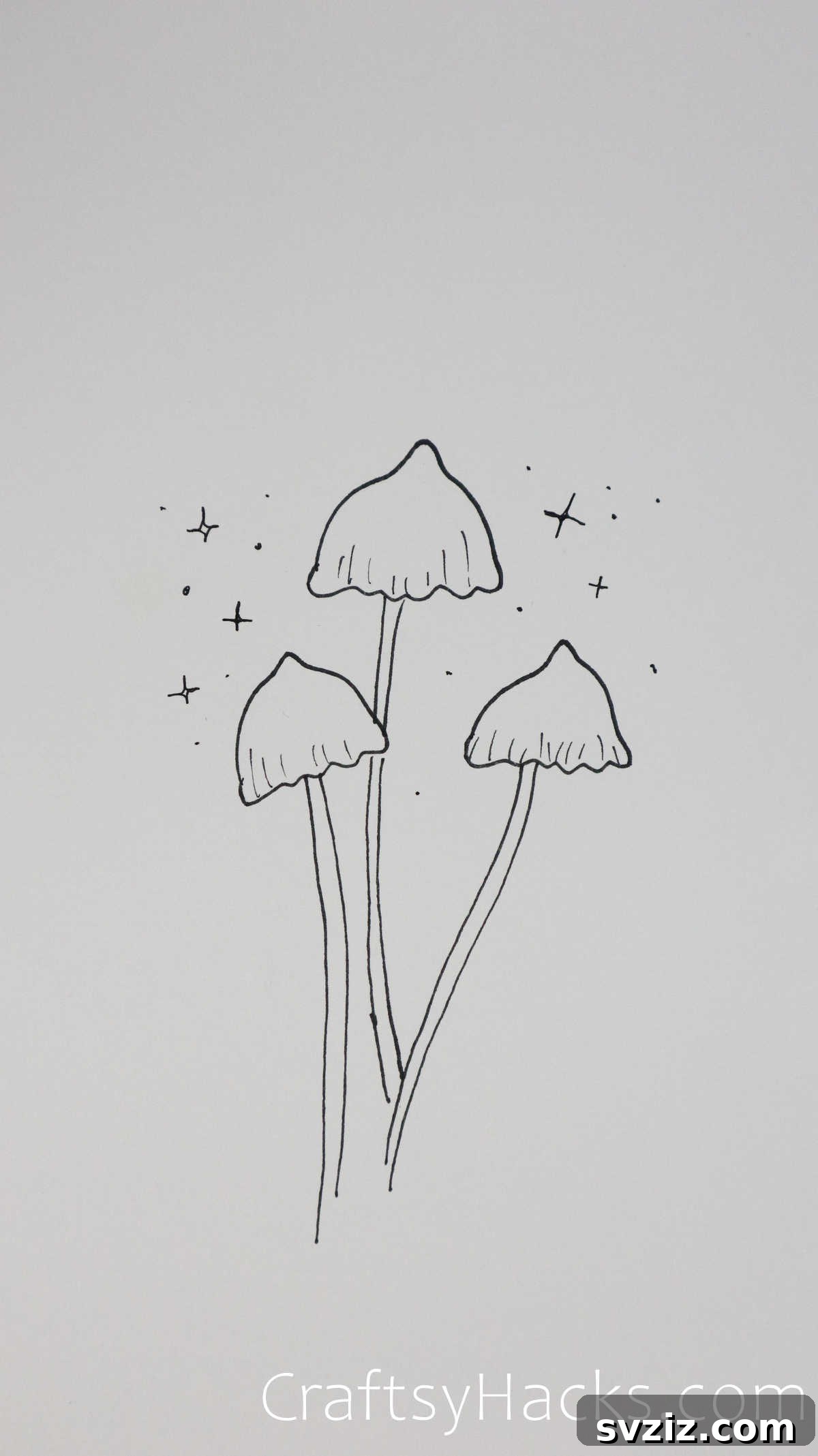 Mushrooms in the Night Drawing with Stars