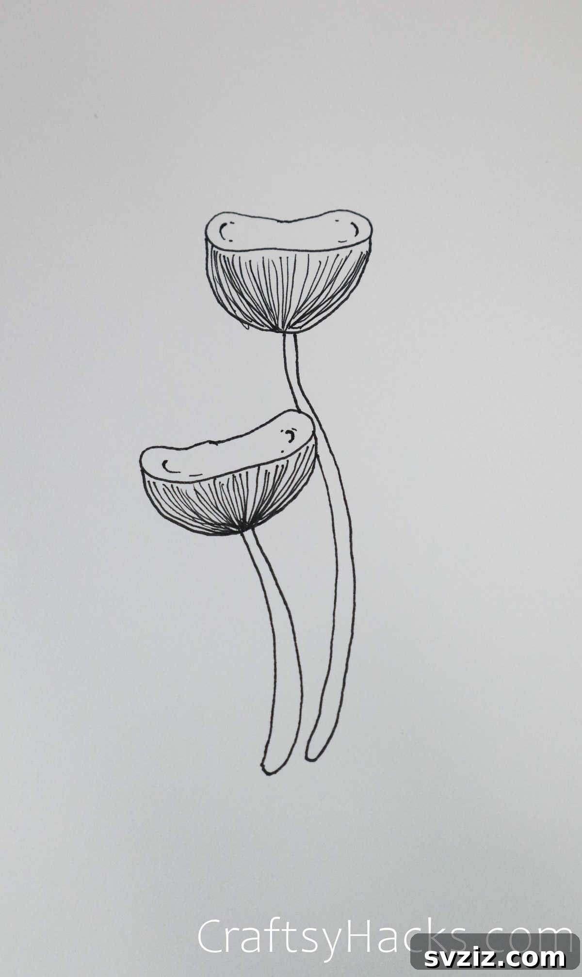Tall Mushrooms Drawing for Proportional Study