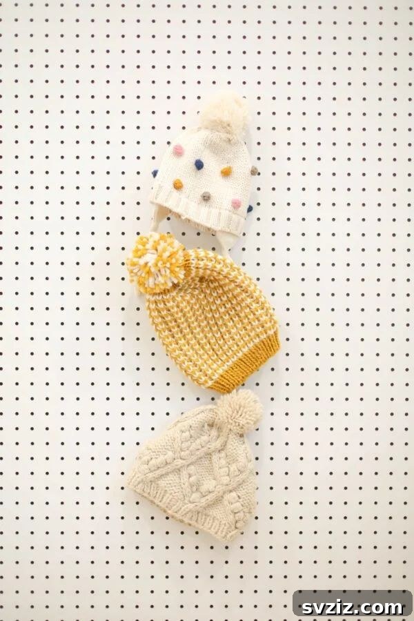 21 Brilliant Budget Organizing Hacks 6 coat closet organizer with hooks and a line for accessories