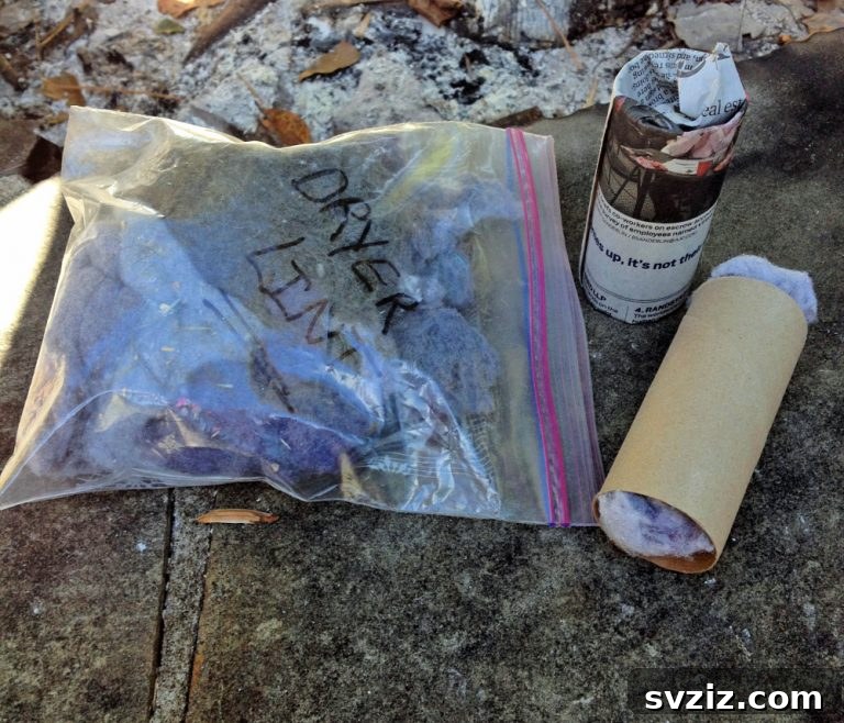 21 Ingenious Ways to Repurpose Toilet Paper Tubes 12 img 20654 11
