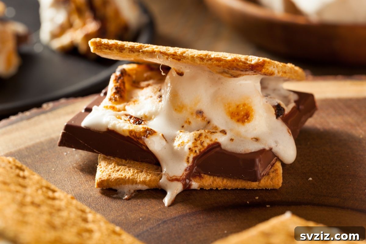 Close-up of a s'more being roasted over a fire