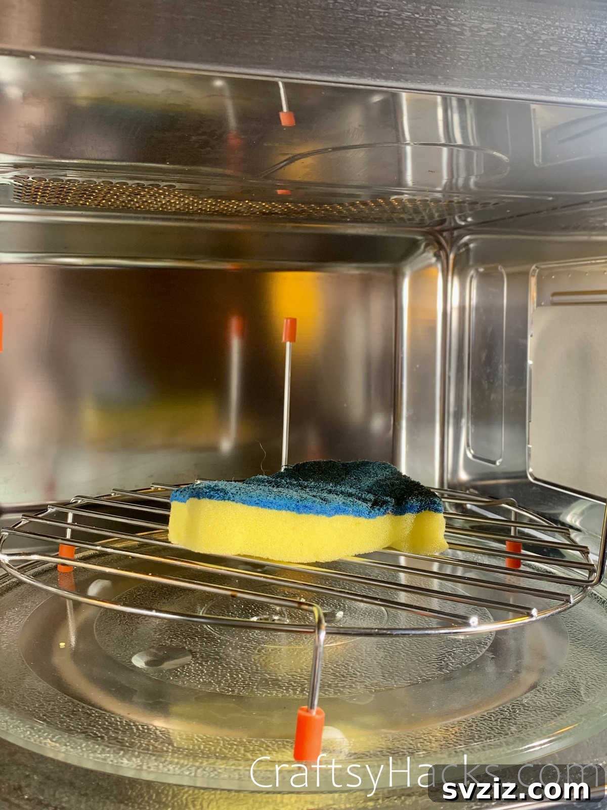 disinfect sponges in micowave