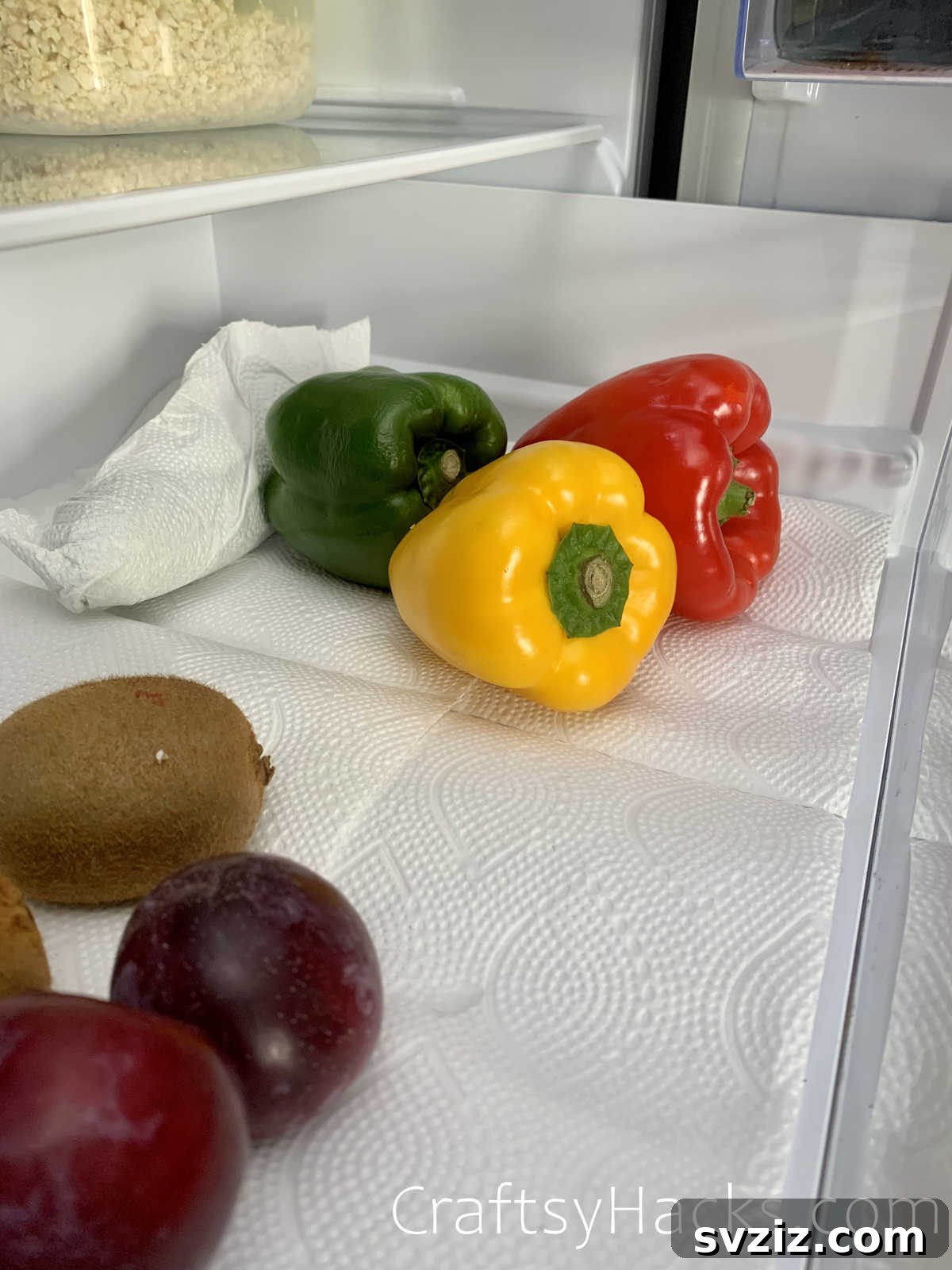 line fridge drawer with paper towel