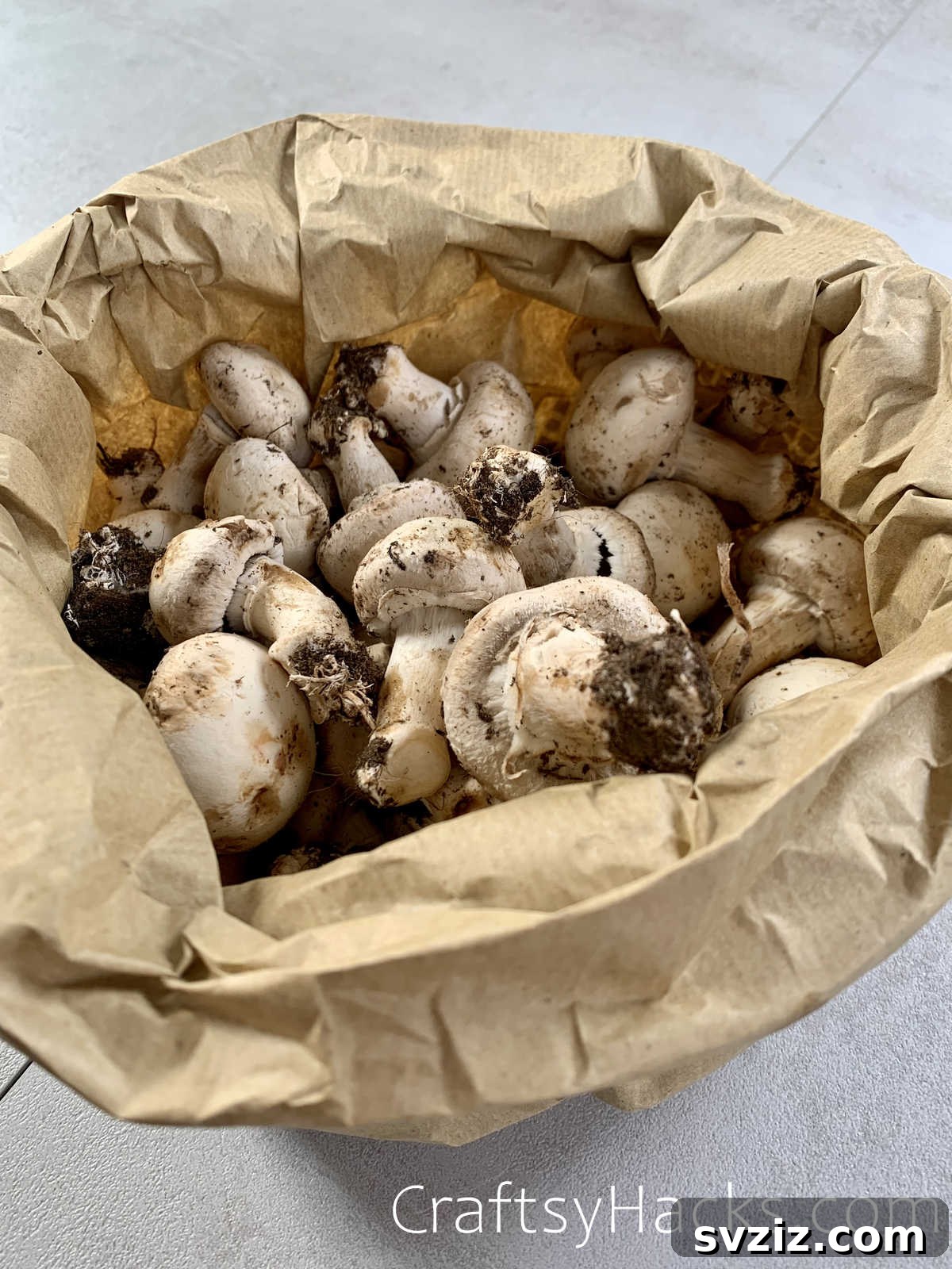 store mushrooms with paper bag