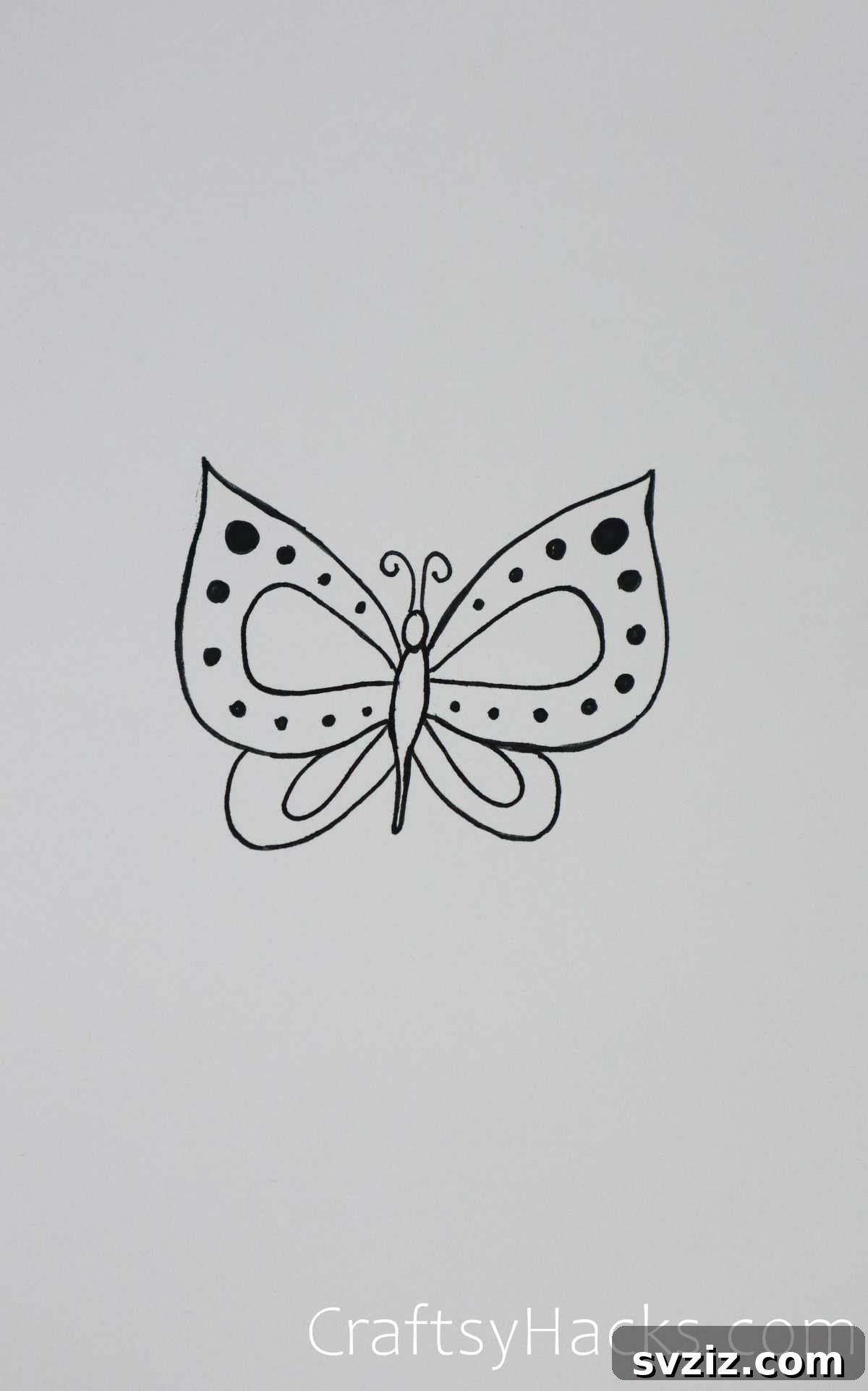 polka dotted butterfly
