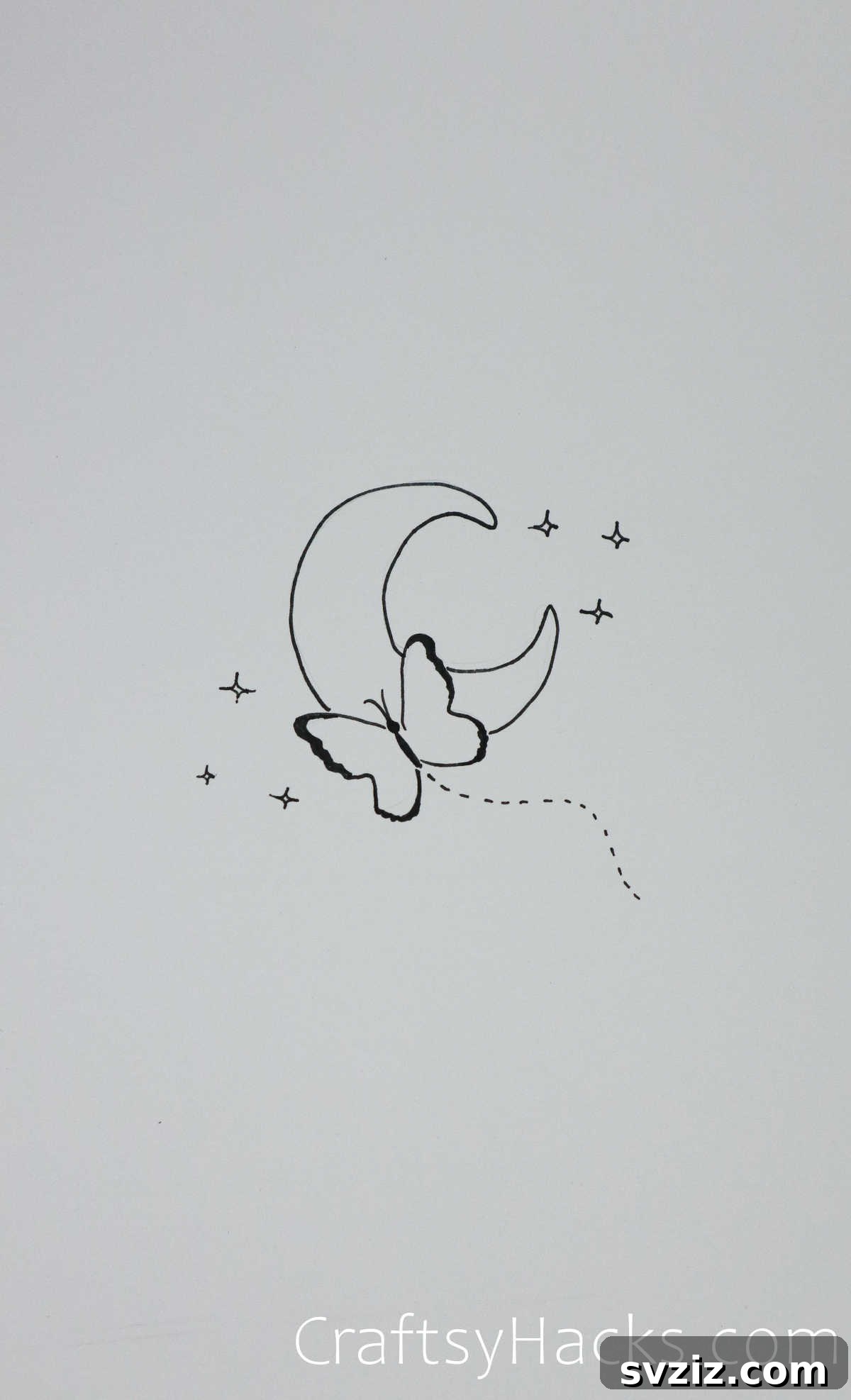 butterfly on the moon