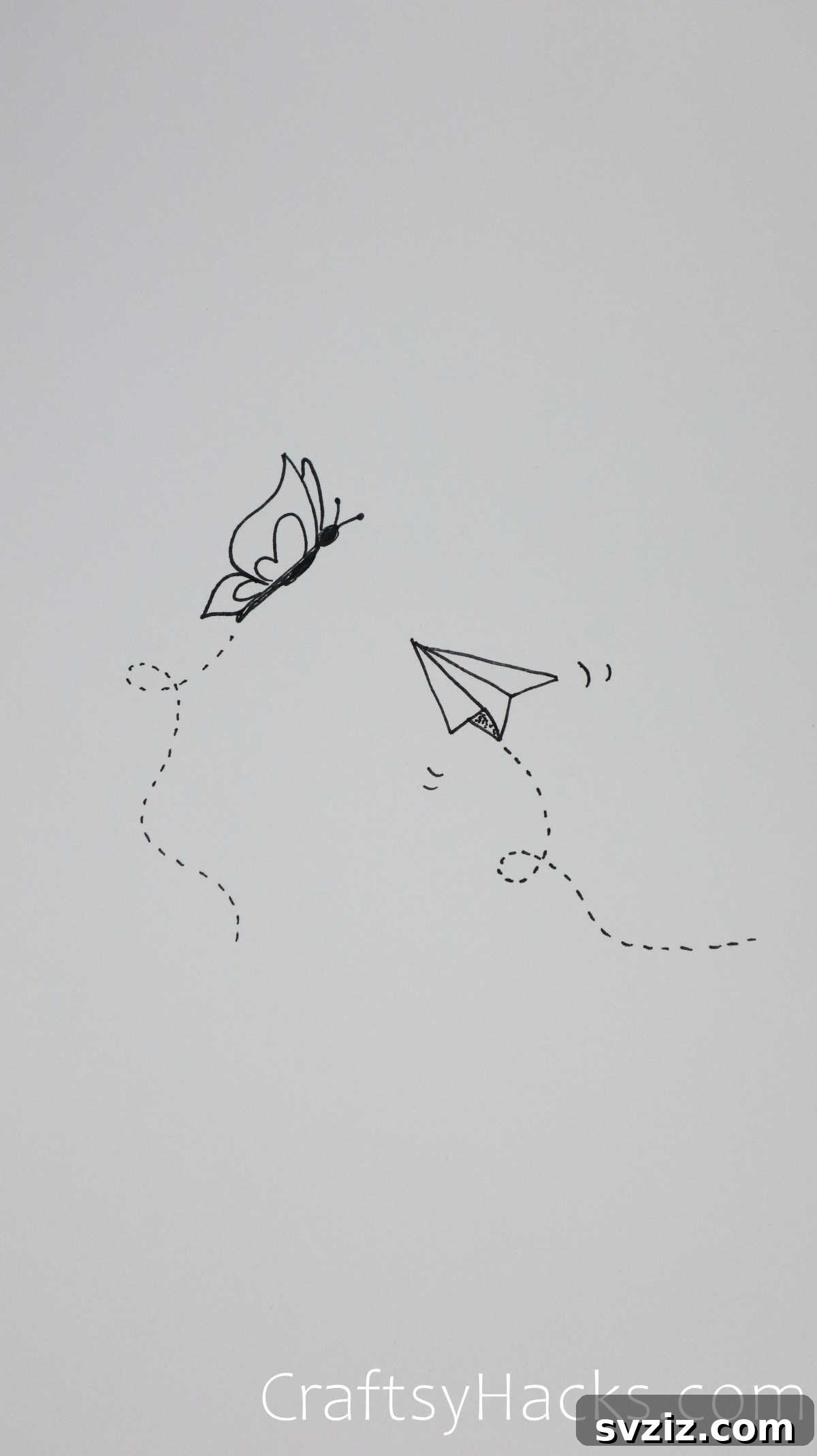 paper airplane and butterfly