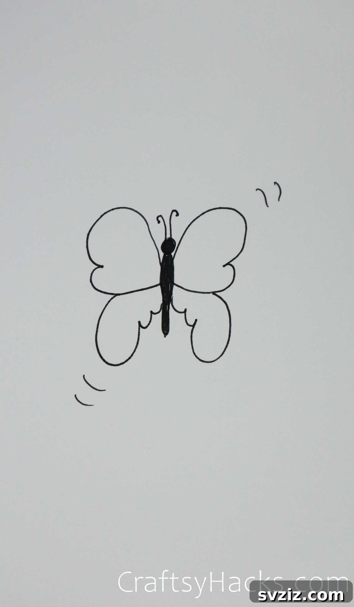 butterfly taking flight