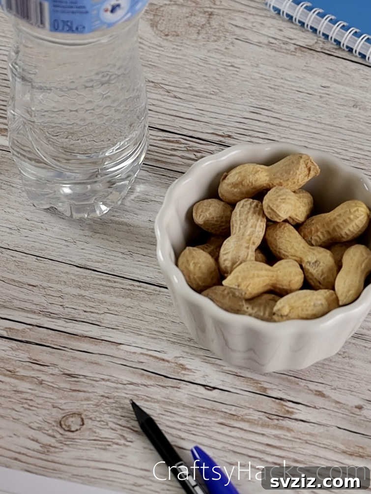 keep water and snacks on hand