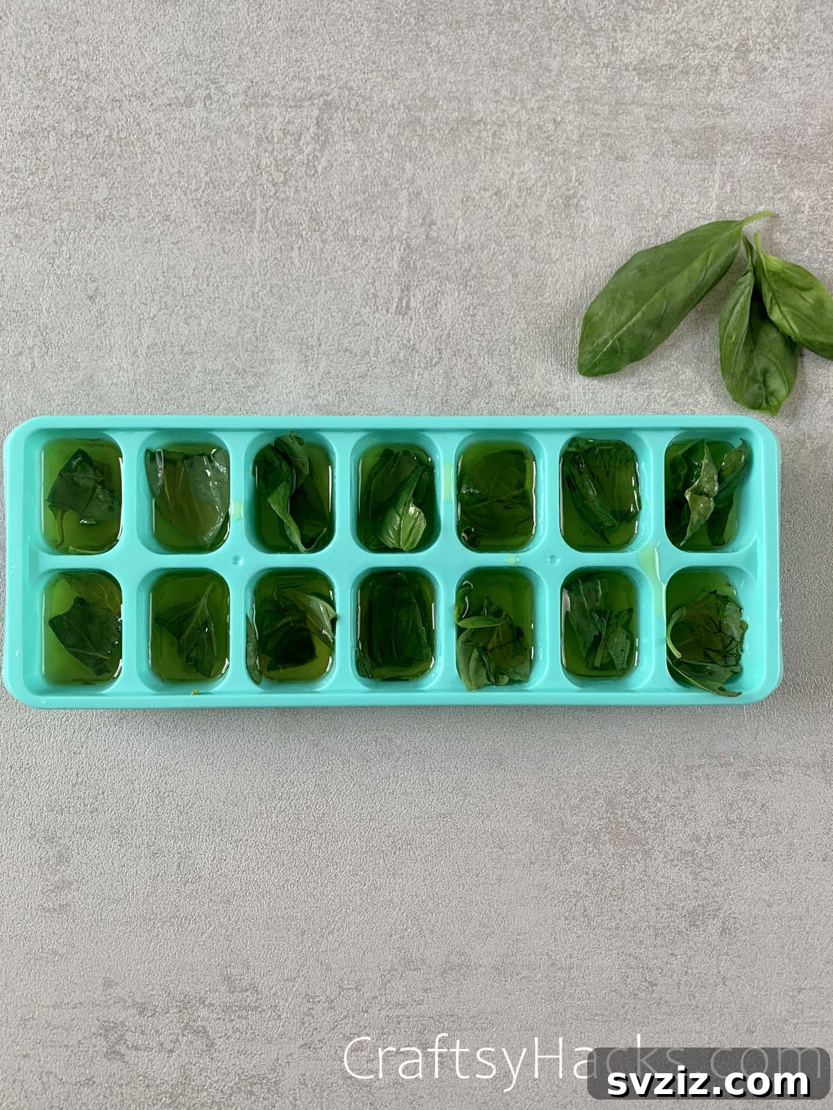 freeze fresh herbs with olive oil